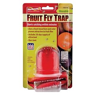 RESCUE Fruit Fly Trap, 1 Card