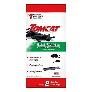 Tomcat Rat Glue Trap, 2 Pack