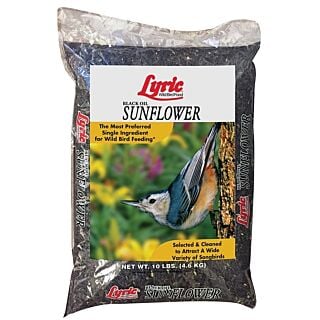 Lyric Sunflower Seed Bird Food, 10 lb Bag