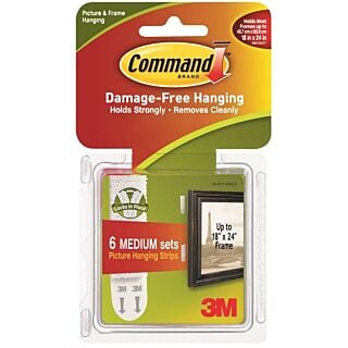 Command 17204 Picture Hanging Strip, 3 lb/set Weight Capacity, Foam
