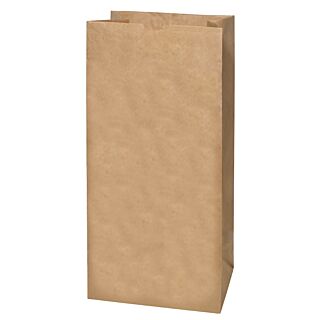 Ampac Biodegradable Paper Lawn and Leaf Bag, 30 gal Capacity 5 pack