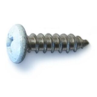 MIDWEST #8 x ⅝ in. White Painted 18-8 Stainless Steel Phillips Pan Head Shutter Screws, 50 Count