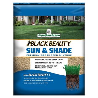 Jonathan Green Black Beauty Sun & Shade Grass Seed, 1 lb Bag
