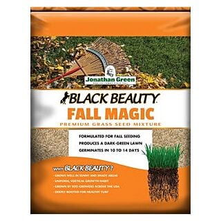 Jonathan Green Black Beauty® Fall Magic™ Grass Seed, 3 lb. Bag