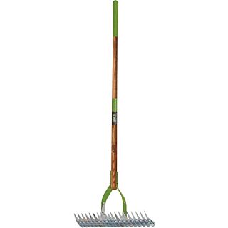 Ames deals dethatcher rake