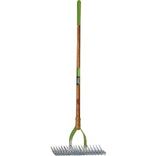 AMES Thatch Rake, 15 in. wide Head, 19-Tine, Ash Wood Handle