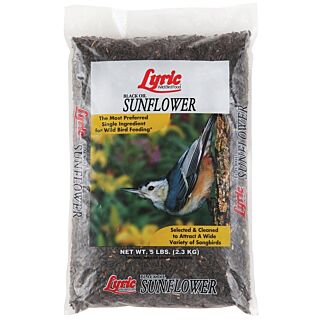 Lyric Sunflower Seed Bird Food, 5 lb Bag
