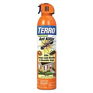 TERRO Outdoor Ant Killer, Liquid, Spray Application, 19 oz. Aerosol Can