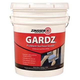 Zinsser® Gardz® Problem Surface Sealer Acoustic/Texture Clear, 5 Gallon