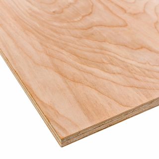 3/4 in. Select Birch Plywood, 4 ft. x 8 ft.