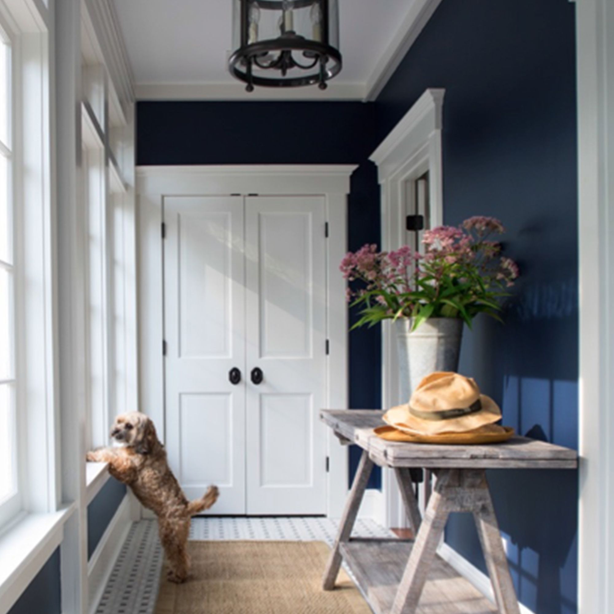 Mudroom painted with Aura
