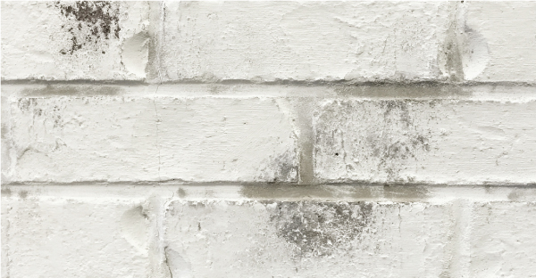 Riposo Beige on a brick fireplace