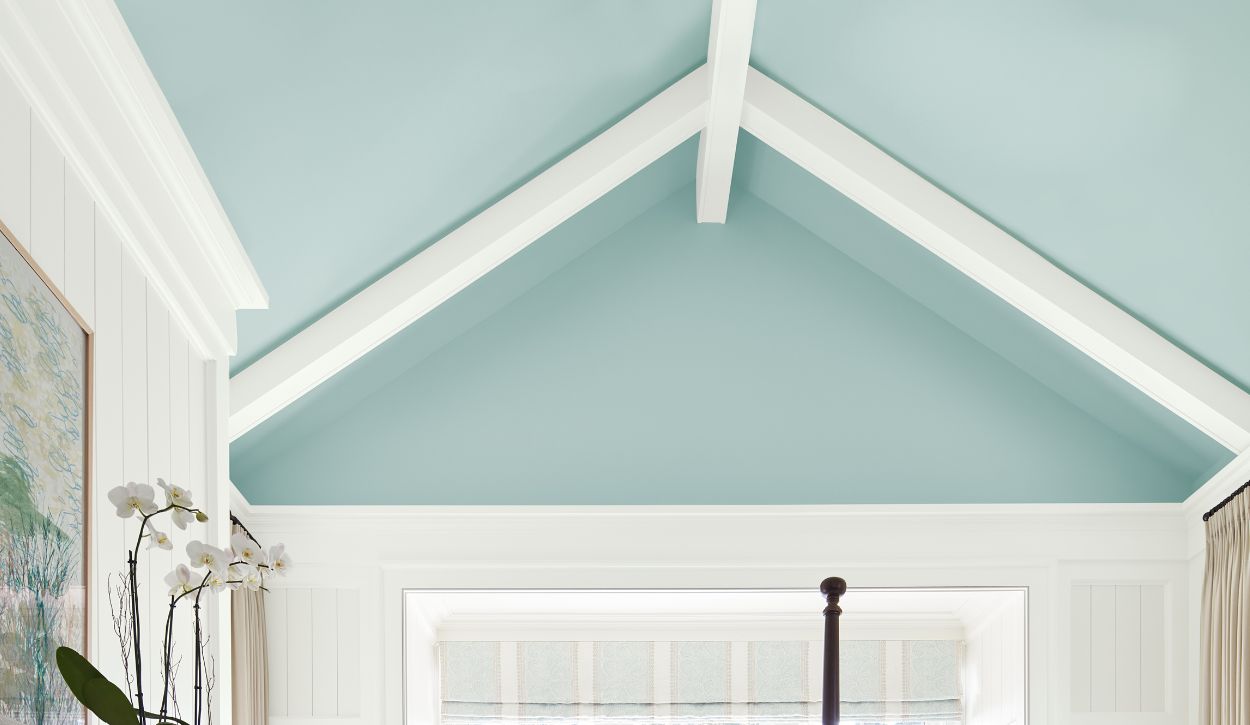 Benjamin Moore Ceiling Paint Review - Is it Worth it?