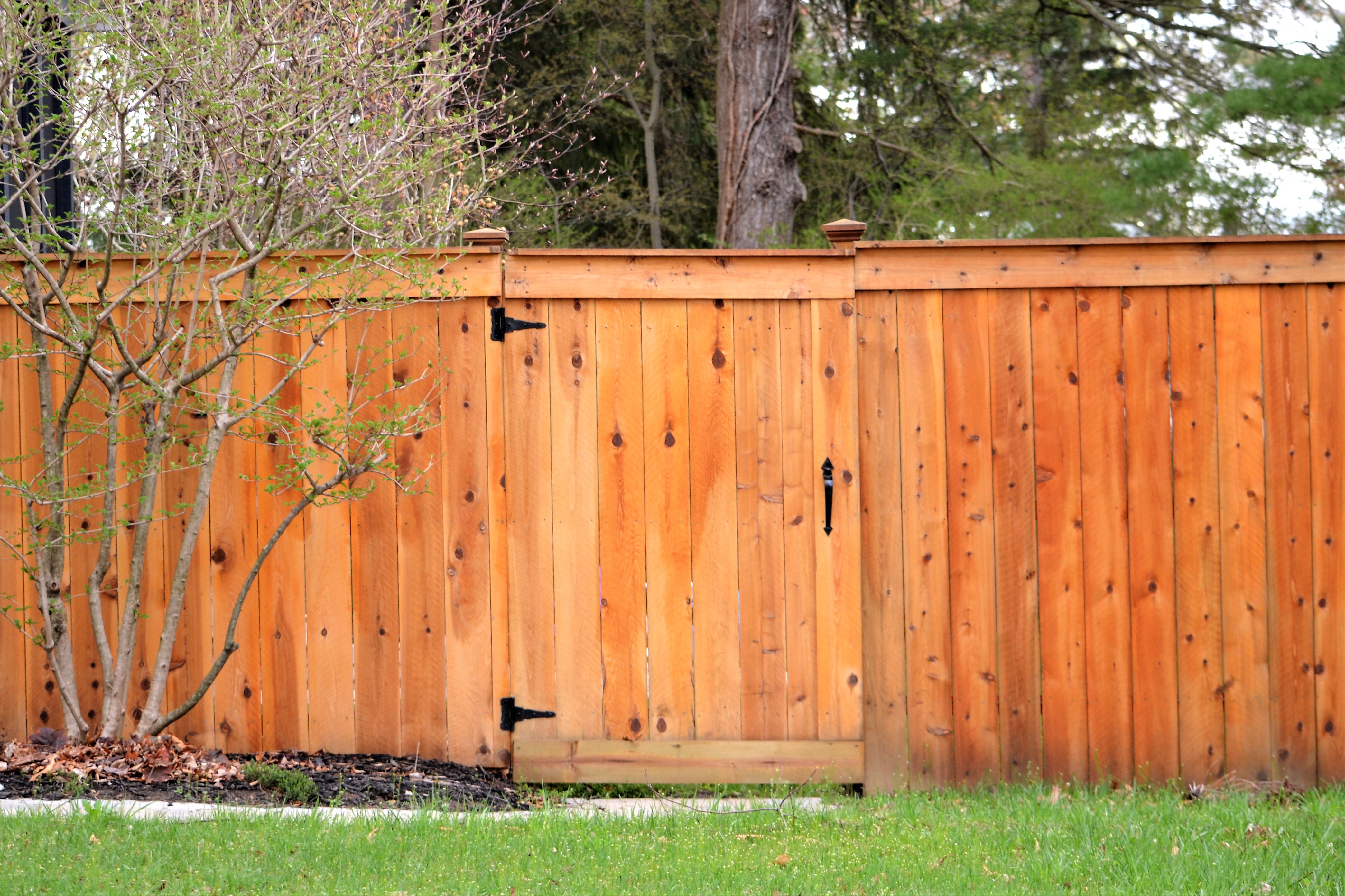 How to Stain a Fence: A Step-by-Step Guide