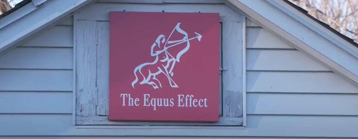 The Equus Effect