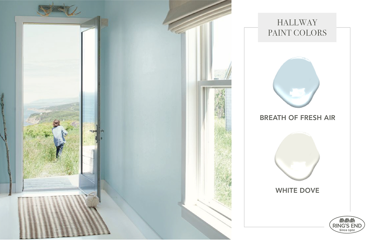 Hallway and entryway painted in Benjamin Moore Breath of Fresh Air 806, with trim in Benjamin Moore White Dove OC-17
