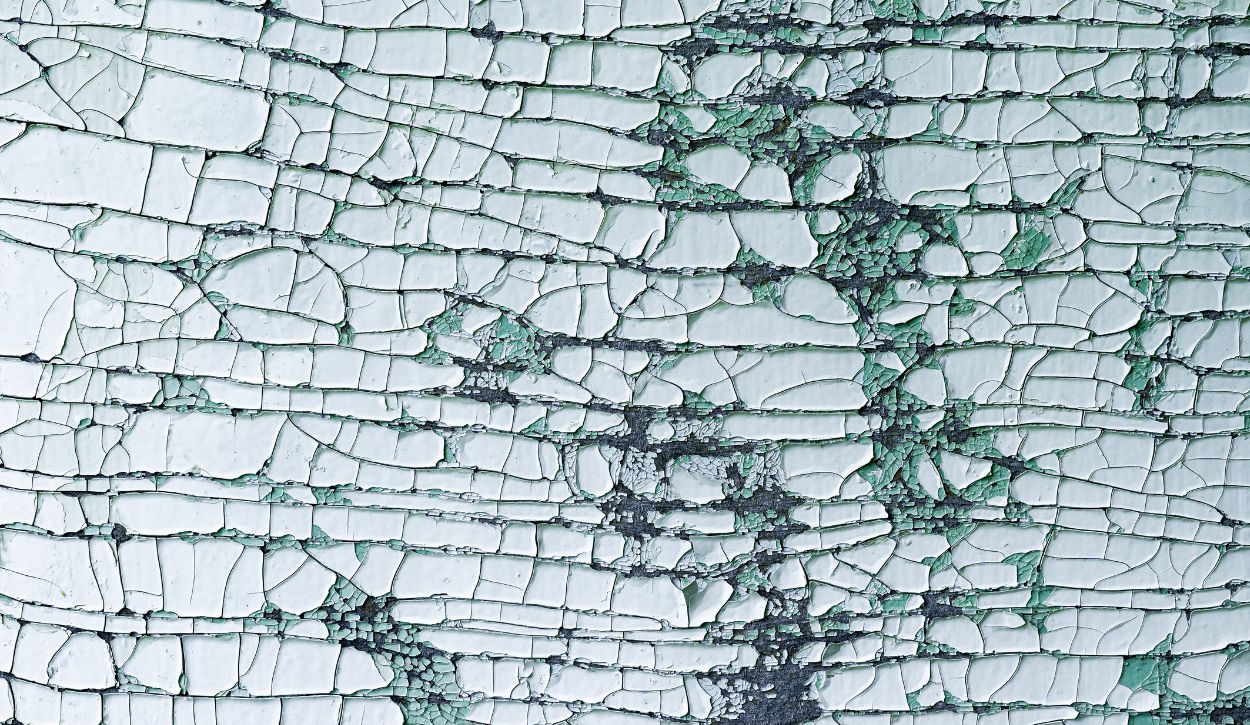 picture of alligatoring paint