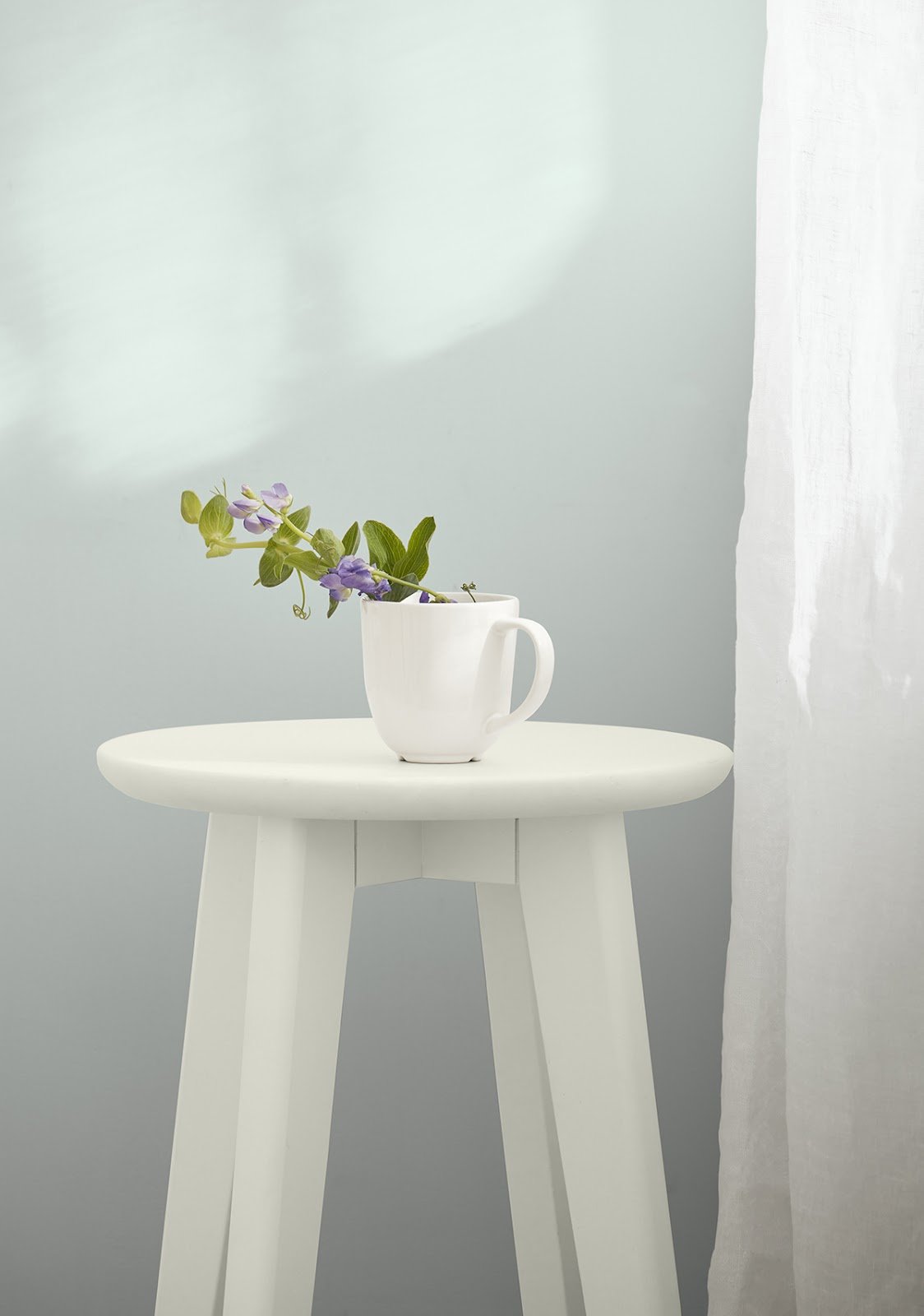 Bianco White Limewash