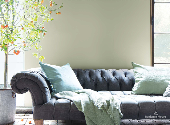Living Room Colors