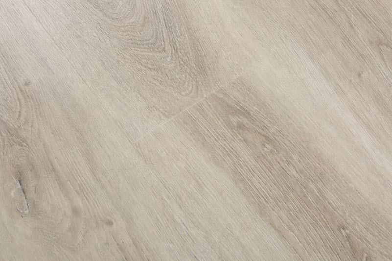 MA702_Venus_Style